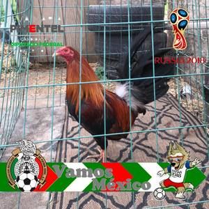 Meet your Posher, Mānüęł